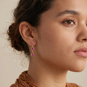 Amira